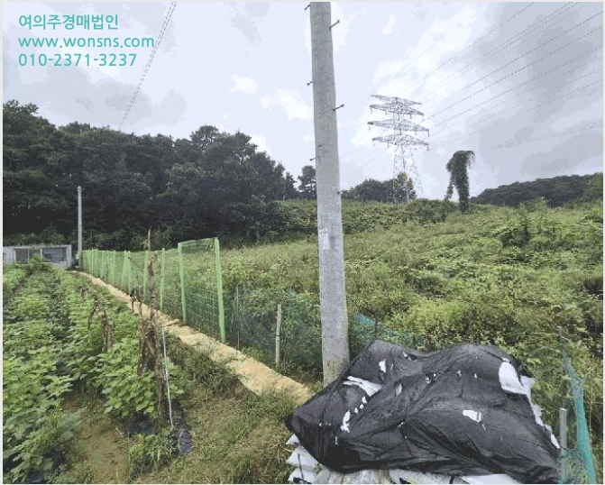 ÅäÁö(Àü) »çÁø1 | ¿¬¼¸é ¼ºÁ¦¸® 282 | 2025Ÿ°æ3829 | ÅäÁö(Àü)°æ¸Å