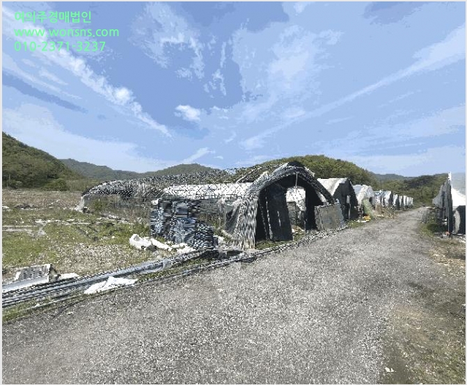 ÅäÁö(´ä) »çÁø1 | ÃæÁֽà ³ëÀº¸é ´ë´ö¸® | 2024Ÿ°æ1169 | ÅäÁö(´ä)°æ¸Å