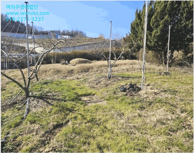 ÅäÁö(Àü) »çÁø1 | ¿µÃµ½Ã ȳ²¸é »ï⸮ | 2024Ÿ°æ128297 | ÅäÁö(Àü)°æ¸Å