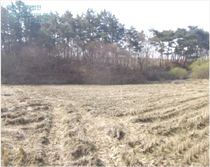 ÅäÁö(´ä) »çÁø1 | žȱº žÈÀ¾ µµ³»¸® | 2025Ÿ°æ51185 | ÅäÁö(´ä)°æ¸Å