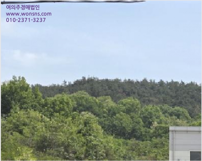 ÅäÁö(Àü) »çÁø1 | ±¸¹Ì½Ã µµ°³¸é µ¿»ê¸® | 2025Ÿ°æ10961 | ÅäÁö(Àü)°æ¸Å
