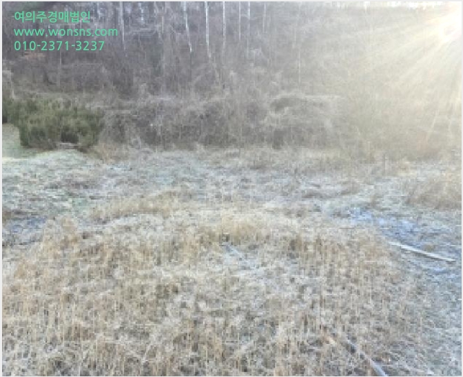 ÅäÁö(´ä) »çÁø1 | µ¿±¸ ³»³²µ¿ 600-3 | 2025Ÿ°æ34768 | ÅäÁö(´ä)°æ¸Å