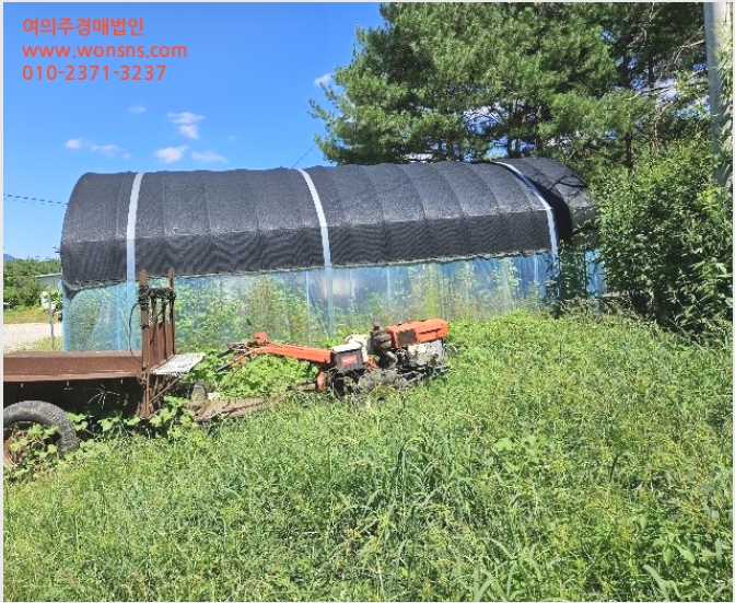 ÅäÁö(Àü) »çÁø1 | Æ÷õ½Ã ¼ÒÈêÀ¾ ¹«ºÀ¸® | 2024Ÿ°æ85188 | ÅäÁö(Àü)°æ¸Å