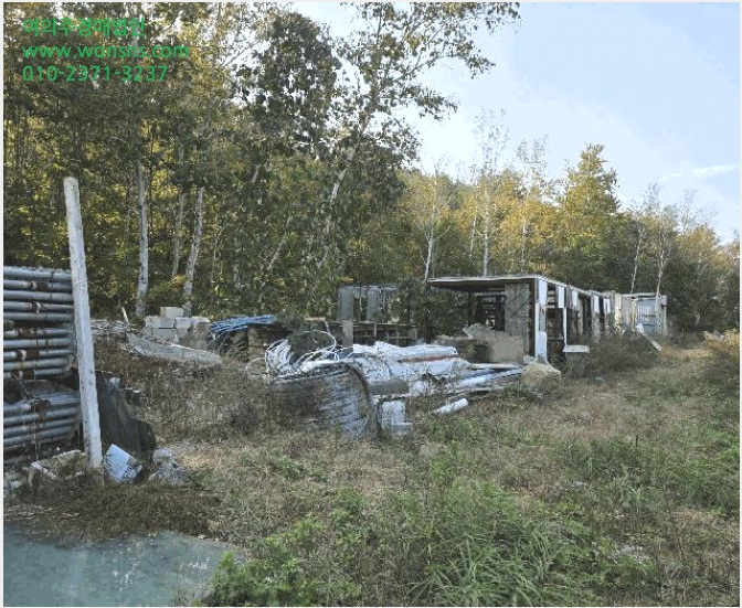 ÅäÁö(ÀÓ¾ß) »çÁø1 | °í¼º±º Á×¿Õ¸é ¾ßÃ̸® | 2025Ÿ°æ290 | ÅäÁö(ÀÓ¾ß)°æ¸Å