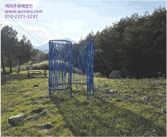 ÅäÁö(ÀÓ¾ß) »çÁø1 | °í¼º±º Á×¿Õ¸é ¾ßÃ̸® | 2025Ÿ°æ290 | ÅäÁö(ÀÓ¾ß)°æ¸Å
