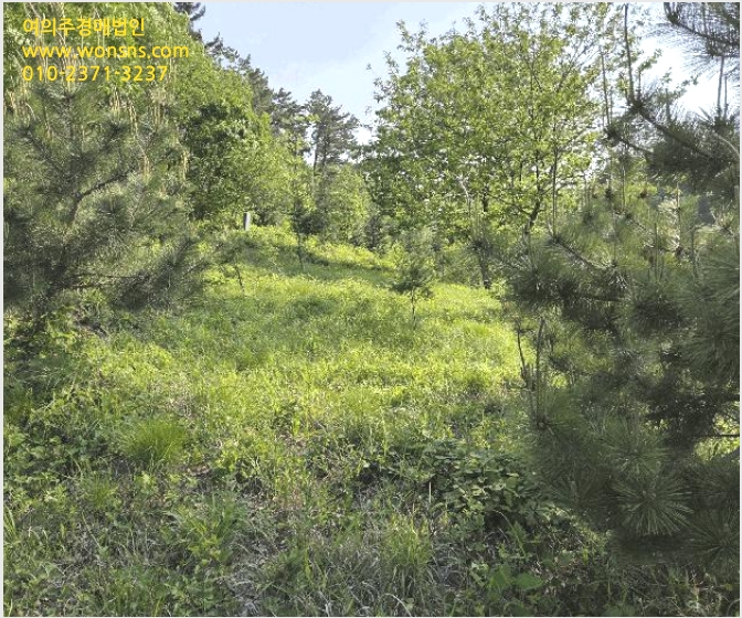 ÅäÁö(ÀÓ¾ß) »çÁø1 | ±º»ê½Ã Áö°îµ¿ 354-26 | 2025Ÿ°æ20845 | ÅäÁö(ÀÓ¾ß)°æ¸Å