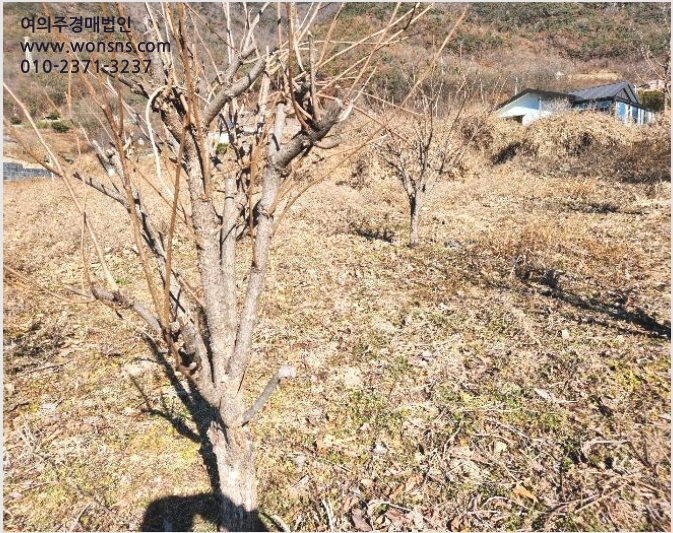 ÅäÁö(´ä) »çÁø1 | ¹Ð¾ç½Ã Ãʵ¿¸é ¼º¸¸¸® | 2024Ÿ°æ3270 | ÅäÁö(´ä)°æ¸Å