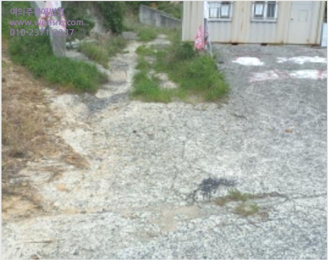 ÅäÁö(ÀÓ¾ß) »çÁø1 | °ÅÁ¦½Ã ÀÏ¿î¸é Áö¼¼Æ÷¸® | 2023Ÿ°æ23823 | ÅäÁö(ÀÓ¾ß)°æ¸Å