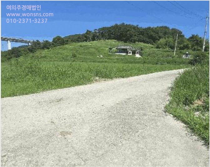 ÅäÁö(´ä) »çÁø1 | ÀӽDZº ¿À¼ö¸é µÐ´ö¸® | 2025Ÿ°æ31449 | ÅäÁö(´ä)°æ¸Å