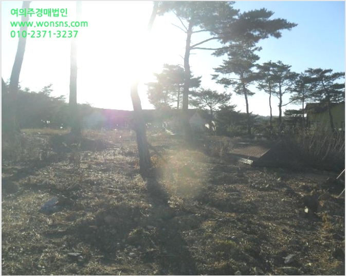 ÅäÁö(ÀÓ¾ß) »çÁø1 | °æÁֽà õºÏ¸é ¹°Ãµ¸® | 2023Ÿ°æ3335 | ÅäÁö(ÀÓ¾ß)°æ¸Å
