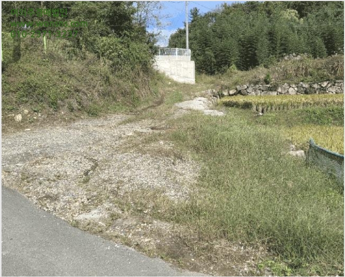 ÅäÁö(Àü) »çÁø1 | ¿ïÁÖ±º ¾ð¾çÀ¾ ¹Ý°î¸® | 2025Ÿ°æ12609 | ÅäÁö(Àü)°æ¸Å