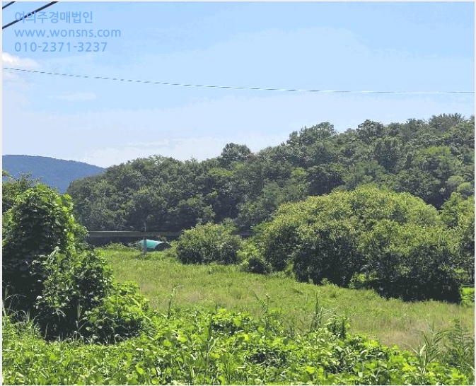 ÅäÁö(´ëÁö) »çÁø1 | Æ÷Ç׽à ºÏ±¸ ½Å±¤¸é | 2025Ÿ°æ285 | ÅäÁö(´ëÁö)°æ¸Å