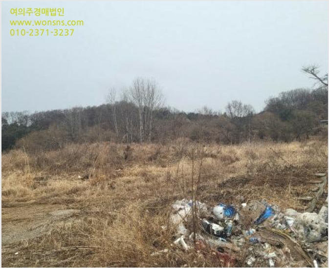 ÅäÁö(ÀÓ¾ß) »çÁø1 | ¾çÆò±º °³±º¸é »óÀÚÆ÷¸® | 2023Ÿ°æ2973 | ÅäÁö(ÀÓ¾ß)°æ¸Å