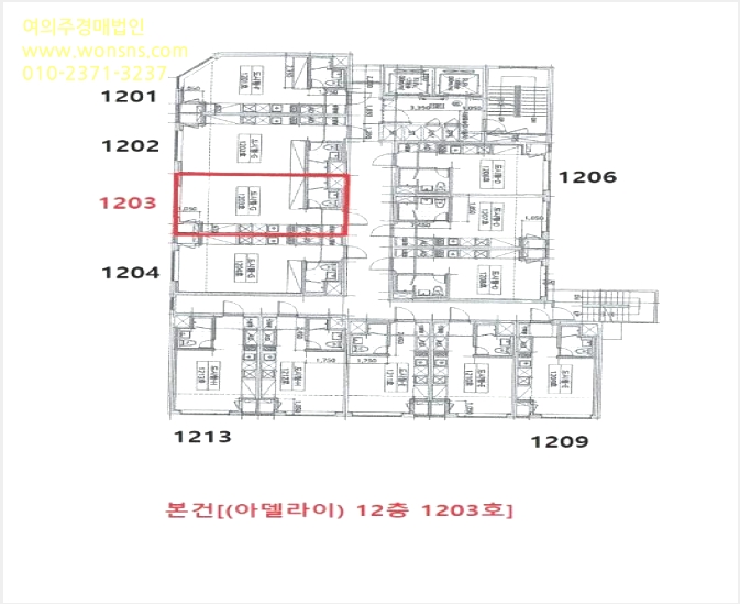 µµ½ÃÇü»ýȰÁÖÅà »çÁø1 | ³²µ¿±¸ ±¸¿ùµ¿ 1129 | 2024Ÿ°æ558944 | µµ½ÃÇü»ýȰÁÖÅðæ¸Å
