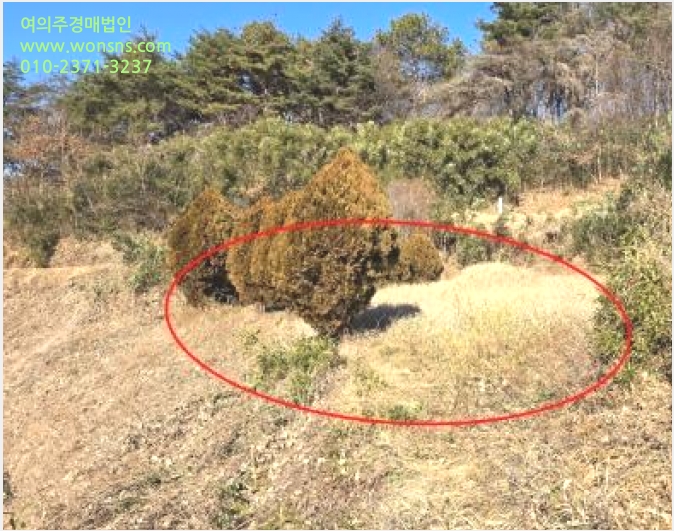 ÅäÁö(Àü) »çÁø1 | ¿ïÁÖ±º ¾ð¾çÀ¾ Á÷µ¿¸® | 2024Ÿ°æ120424 | ÅäÁö(Àü)°æ¸Å
