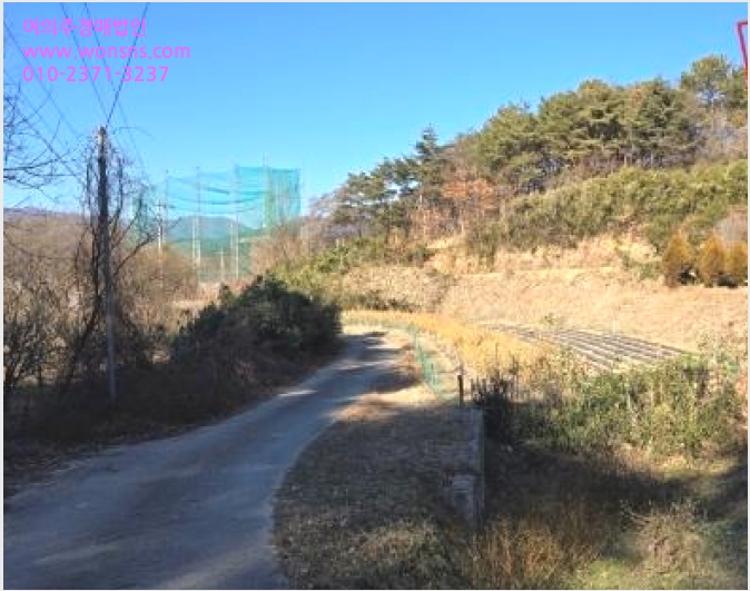 ÅäÁö(Àü) »çÁø1 | ¿ïÁÖ±º ¾ð¾çÀ¾ Á÷µ¿¸® | 2024Ÿ°æ120424 | ÅäÁö(Àü)°æ¸Å
