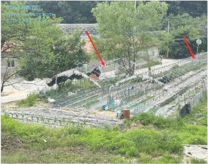 ÅäÁö(Àü) »çÁø1 | ³²¾çÁֽà Áø°ÇÀ¾ ¿ëÁ¤¸® | 2025Ÿ°æ71738 | ÅäÁö(Àü)°æ¸Å