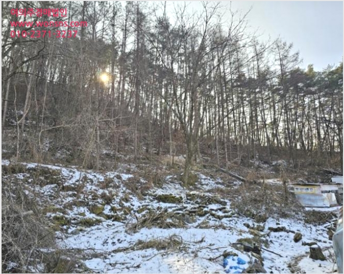 ÅäÁö(Àü) »çÁø1 | Æòⱺ ¹Ìź¸é ¸¶Çϸ® | 2023Ÿ°æ13167 | ÅäÁö(Àü)°æ¸Å