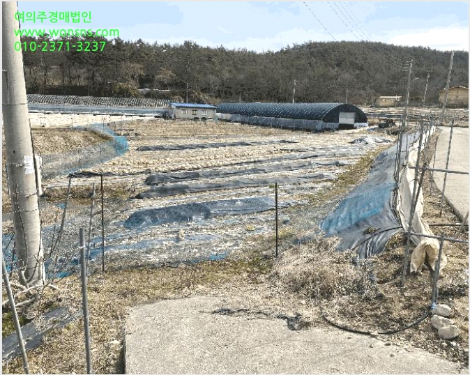 ÅäÁö(ÀâÁ¾Áö) »çÁø1 | ¿µ¾Ï±º »ïÈ£À¾ ¿ë´ç¸® | 2025Ÿ°æ50876 | ÅäÁö(ÀâÁ¾Áö)°æ¸Å