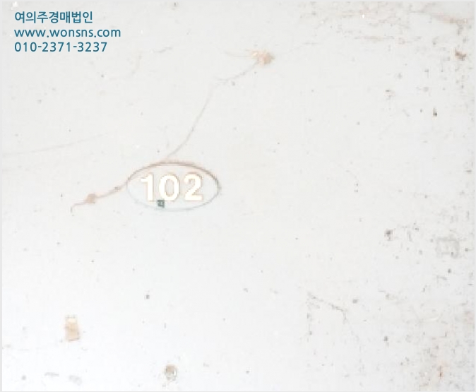 ´Ù¼¼´ë,ºô¶ó »çÁø1 | °¼±¸ Ȱ 409-207 | 2025Ÿ°æ9111 | ´Ù¼¼´ë,ºô¶ó°æ¸Å