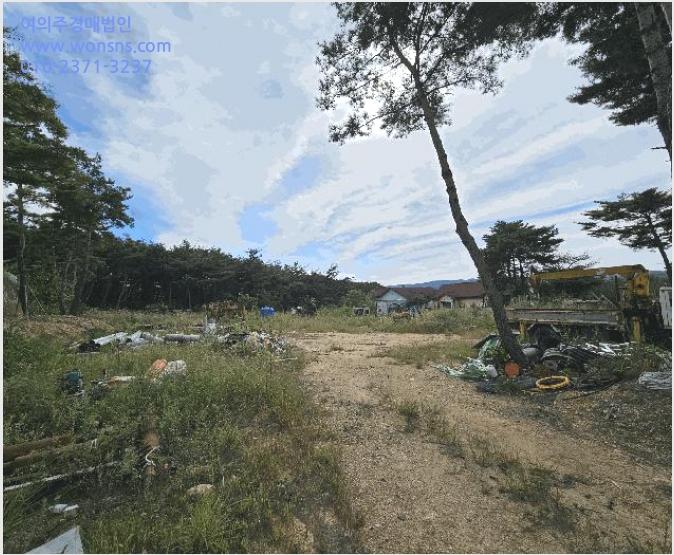 ÅäÁö(ÀÓ¾ß) »çÁø1 | °æÁֽà õºÏ¸é ¹°Ãµ¸® | 2025Ÿ°æ528 | ÅäÁö(ÀÓ¾ß)°æ¸Å