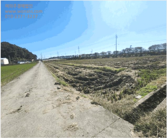 ÅäÁö(´ä) »çÁø1 | ¼øÃµ½Ã º°·®¸é ±¸·æ¸® | 2025Ÿ°æ658 | ÅäÁö(´ä)°æ¸Å