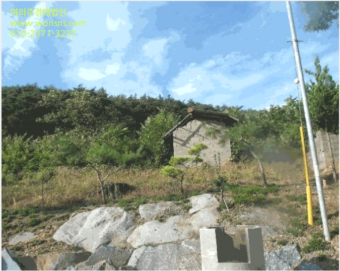 ÅäÁö(ÀÓ¾ß) »çÁø1 | ºÎ¿©±º ¿Ü»ê¸é °¥»ê¸® | 2025Ÿ°æ20397 | ÅäÁö(ÀÓ¾ß)°æ¸Å