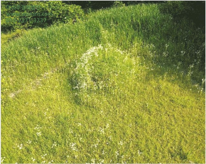ÅäÁö(Àü) »çÁø1 | ÇÔÆò±º ³ª»ê¸é ¼ö»ó¸® | 2025Ÿ°æ51165 | ÅäÁö(Àü)°æ¸Å