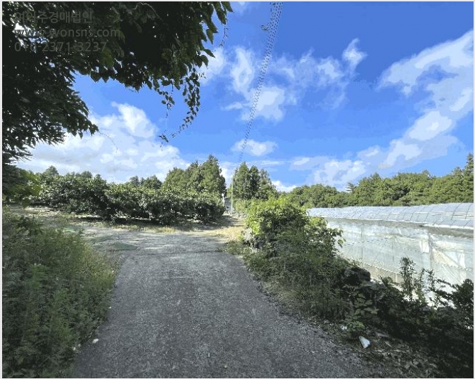 ÅäÁö(°ú¼ö¿ø) »çÁø1 | ¼±ÍÆ÷½Ã ³²¿øÀ¾ À§¹Ì¸® | 2025Ÿ°æ1464 | ÅäÁö(°ú¼ö¿ø)°æ¸Å