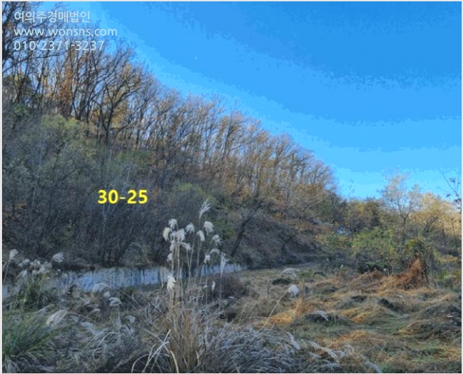 ÅäÁö(ÀÓ¾ß) »çÁø1 | ȼº½Ã ³²¾çÀ¾ ¹«¼Û¸® | 2024Ÿ°æ95679 | ÅäÁö(ÀÓ¾ß)°æ¸Å