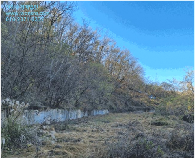 ÅäÁö(ÀÓ¾ß) »çÁø1 | ȼº½Ã ³²¾çÀ¾ ¹«¼Û¸® | 2024Ÿ°æ95679 | ÅäÁö(ÀÓ¾ß)°æ¸Å