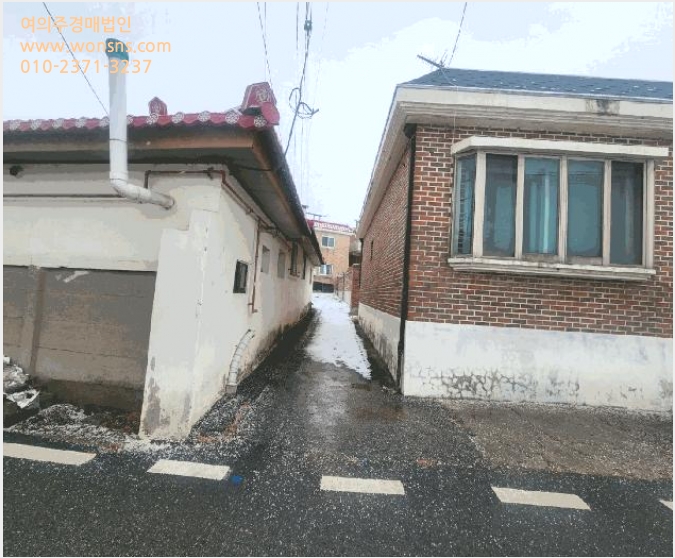 ÅäÁö(Àü) »çÁø1 | ÆÄÁֽà ÆÄÁÖÀ¾ Çâ¾ç¸® | 2025Ÿ°æ61045 | ÅäÁö(Àü)°æ¸Å