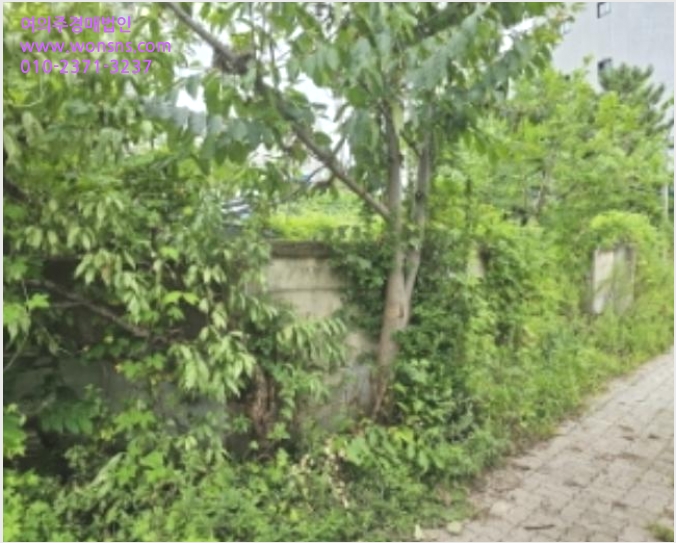 ÅäÁö(´ëÁö) »çÁø1 | õ¾È½Ã µ¿³²±¸ û¼öµ¿ | 2024Ÿ°æ110745 | ÅäÁö(´ëÁö)°æ¸Å