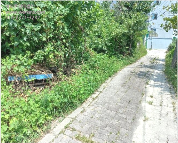 ÅäÁö(´ëÁö) »çÁø1 | õ¾È½Ã µ¿³²±¸ û¼öµ¿ | 2024Ÿ°æ110745 | ÅäÁö(´ëÁö)°æ¸Å