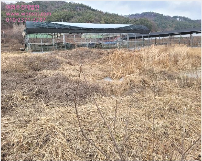 ÅäÁö(Àü) »çÁø1 | â³ç±º À¯¾î¸é ¼±¼Ò¸® | 2023Ÿ°æ13034 | ÅäÁö(Àü)°æ¸Å