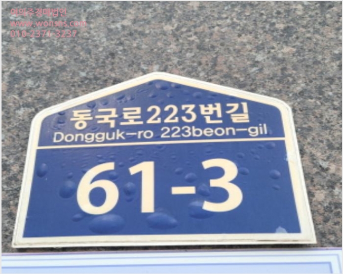 ´Ù¼¼´ë,ºô¶ó »çÁø1 | °í¾ç½Ã Àϻ굿±¸ ¼º¼®µ¿ ÇÑ¿ïÇÏÀÓ | 2024Ÿ°æ82847 | ´Ù¼¼´ë,ºô¶ó°æ¸Å