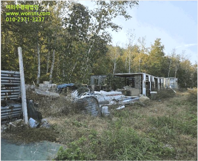 ÅäÁö(ÀÓ¾ß) »çÁø1 | °í¼º±º Á×¿Õ¸é ¾ßÃ̸® | 2025Ÿ°æ290 | ÅäÁö(ÀÓ¾ß)°æ¸Å