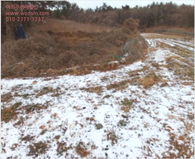 ÅäÁö(ÀÓ¾ß) »çÁø1 | ¼»ê½Ã ´ë»êÀ¾ ¿ÀÁö¸® | 2024Ÿ°æ61757 | ÅäÁö(ÀÓ¾ß)°æ¸Å