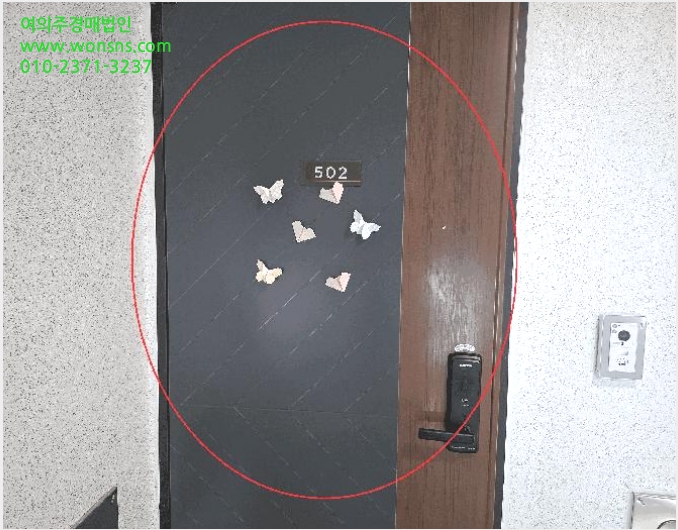 ´Ù¼¼´ë,ºô¶ó »çÁø1 | °¼±¸ Ȱ 1169 | 2025Ÿ°æ12866 | ´Ù¼¼´ë,ºô¶ó°æ¸Å
