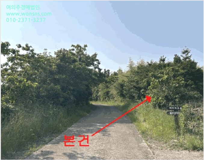 ÅäÁö(ÀÓ¾ß) »çÁø1 | ¼±ÍÆ÷½Ã Ç¥¼±¸é °¡½Ã¸® | 2025Ÿ°æ8119 | ÅäÁö(ÀÓ¾ß)°æ¸Å
