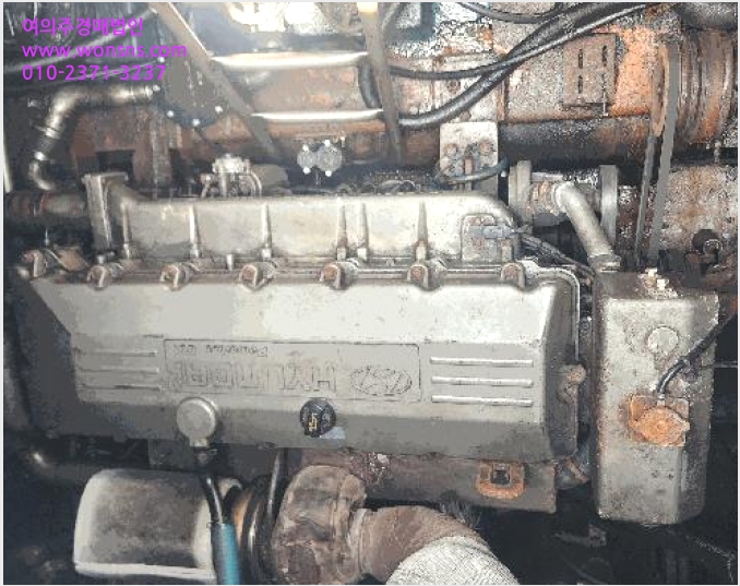 ¼±¹Ú »çÁø1 | Å뿵½Ã µµÃµµ¿ 168-3 | 2025Ÿ°æ21384 | ¼±¹Ú°æ¸Å