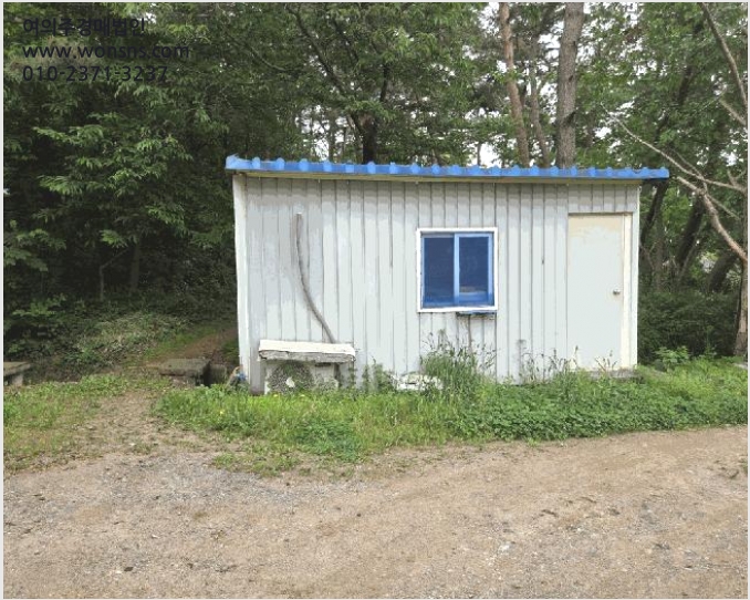 ÅäÁö(Àü) »çÁø1 | ´çÁø½Ã ¼Û¾ÇÀ¾ ºÎ°î¸® | 2025Ÿ°æ51330 | ÅäÁö(Àü)°æ¸Å
