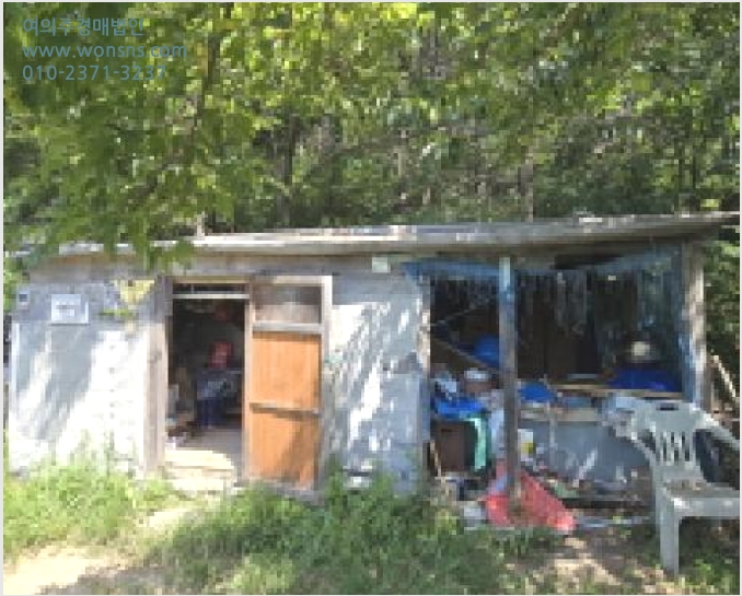 ÅäÁö(ÀÓ¾ß) »çÁø1 | ¿ïÁÖ±º ¿õÃÌ¸é ´ëº¹¸® | 2025Ÿ°æ12072 | ÅäÁö(ÀÓ¾ß)°æ¸Å