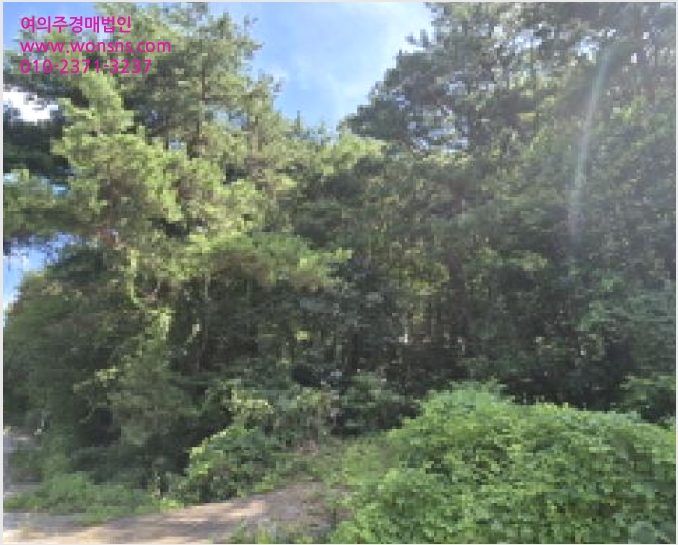ÅäÁö(ÀÓ¾ß) »çÁø1 | ¿ïÁÖ±º ¿õÃÌ¸é ´ëº¹¸® | 2025Ÿ°æ12072 | ÅäÁö(ÀÓ¾ß)°æ¸Å
