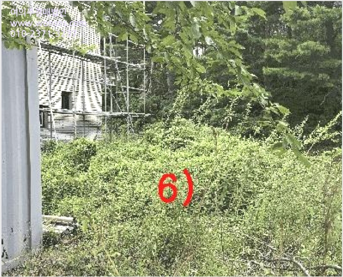 ÁÖÅà »çÁø1 | ¼ÓÃʽà Àå»çµ¿ 307 | 2025Ÿ°æ10352 | ÁÖÅðæ¸Å