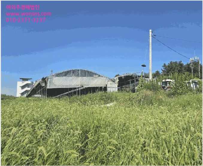 ÅäÁö(°ú¼ö¿ø) »çÁø1 | ³ªÁֽà ºÀȲ¸é Ȳ¿ë¸® | 2025Ÿ°æ33246 | ÅäÁö(°ú¼ö¿ø)°æ¸Å
