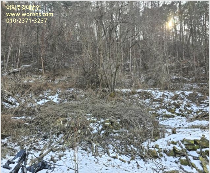 ÅäÁö(´ëÁö) »çÁø1 | Æòⱺ ¹Ìź¸é ¸¶Çϸ® | 2023Ÿ°æ13167 | ÅäÁö(´ëÁö)°æ¸Å