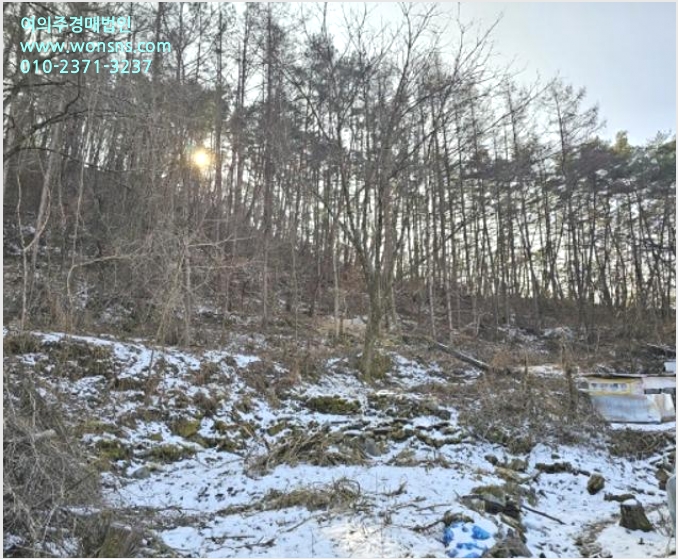ÅäÁö(´ëÁö) »çÁø1 | Æòⱺ ¹Ìź¸é ¸¶Çϸ® | 2023Ÿ°æ13167 | ÅäÁö(´ëÁö)°æ¸Å