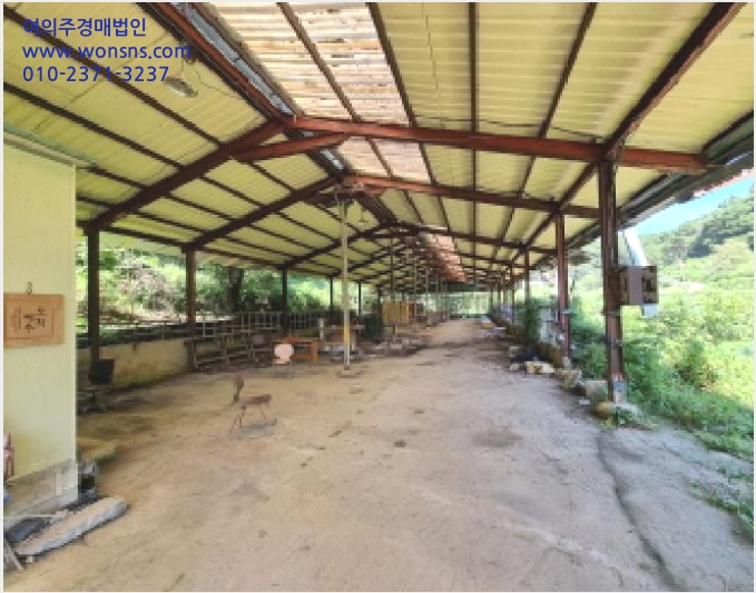 Ãà»ç(³ó°¡½Ã¼³) »çÁø1 | ¼±¸ ÆòÃ̵¿ 765 | 2025Ÿ°æ3767 | Ãà»ç(³ó°¡½Ã¼³)°æ¸Å