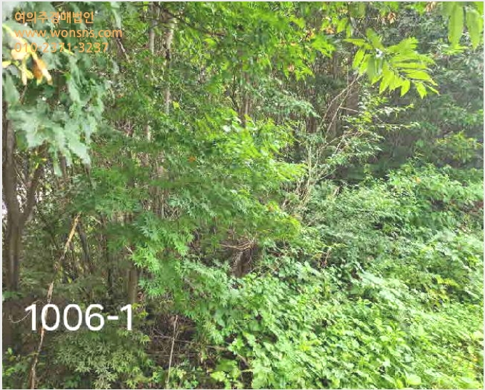 ÅäÁö(ÀÓ¾ß) »çÁø1 | ¿ëÀνà óÀα¸ ³²»çÀ¾ | 2025Ÿ°æ57052 | ÅäÁö(ÀÓ¾ß)°æ¸Å